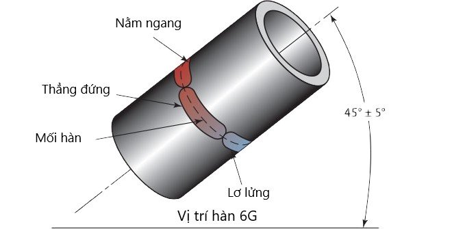Vi Tri Han 6g 1